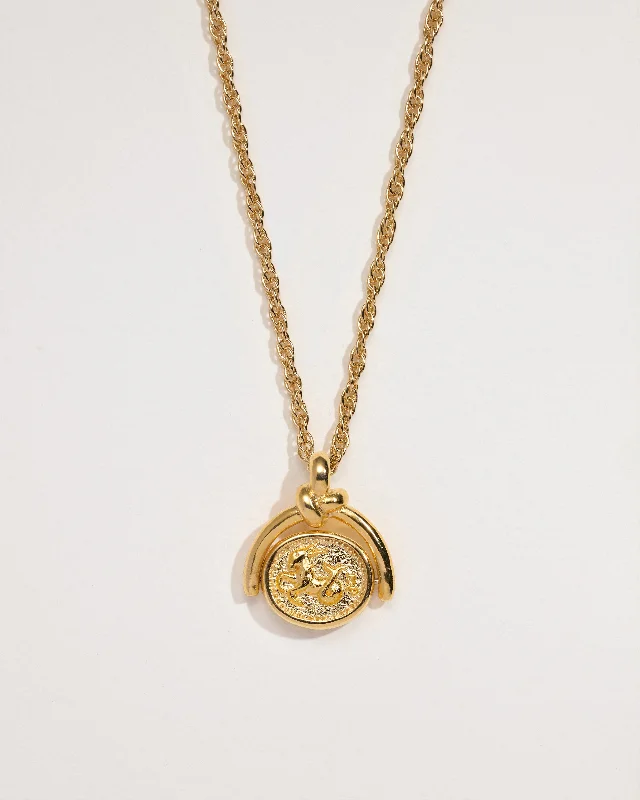genuine amber pendant necklace Capricorn Spinner Pendant